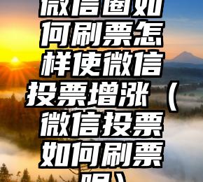 简单的来说下微信投票人工怎么刷票（微信纯人工投票）