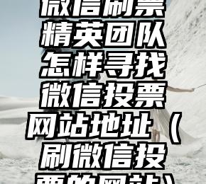 简单的来说下微信投票人工怎么刷票（微信纯人工投票）