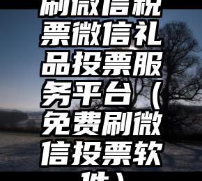 简单的来说下微信投票人工怎么刷票（微信纯人工投票）
