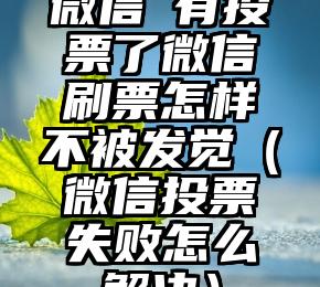 简单的来说下微信投票人工怎么刷票（微信纯人工投票）