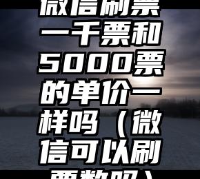 简单的来说下微信投票人工怎么刷票（微信纯人工投票）