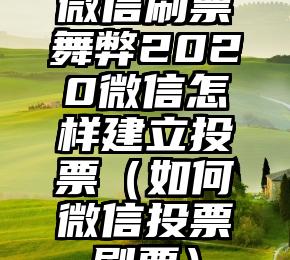 简单的来说下微信投票人工怎么刷票（微信纯人工投票）