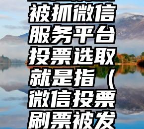 简单的来说下微信投票人工怎么刷票（微信纯人工投票）