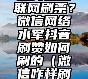 简单的来说下微信投票人工怎么刷票（微信纯人工投票）