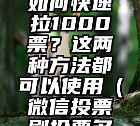 简单的来说下微信投票人工怎么刷票(微信纯人工投票)