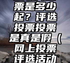 简单的来说下微信投票人工怎么刷票（微信纯人工投票）