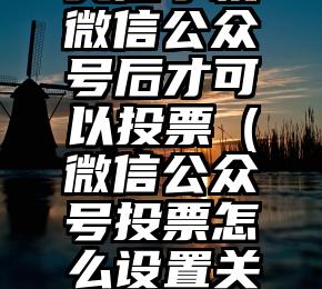简单的来说下微信投票人工怎么刷票（微信纯人工投票）