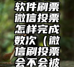 简单的来说下微信投票人工怎么刷票（微信纯人工投票）