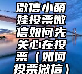 简单的来说下微信投票人工怎么刷票（微信纯人工投票）