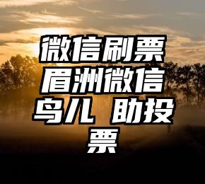 简单的来说下微信投票人工怎么刷票（微信纯人工投票）