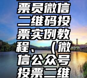 简单的来说下微信投票人工怎么刷票（微信纯人工投票）
