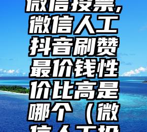 简单的来说下微信投票人工怎么刷票（微信纯人工投票）