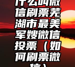 简单的来说下微信投票人工怎么刷票（微信纯人工投票）