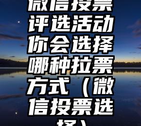 简单的来说下微信投票人工怎么刷票（微信纯人工投票）
