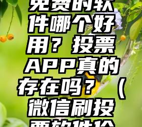 简单的来说下微信投票人工怎么刷票（微信纯人工投票）