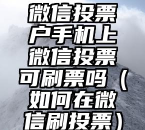简单的来说下微信投票人工怎么刷票（微信纯人工投票）