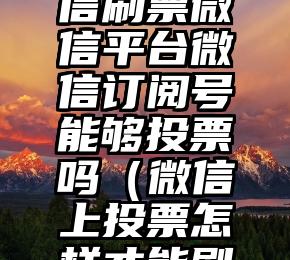 简单的来说下微信投票人工怎么刷票(微信纯人工投票)