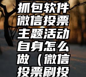 简单的来说下微信投票人工怎么刷票（微信纯人工投票）
