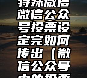 简单的来说下微信投票人工怎么刷票（微信纯人工投票）