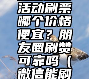 简单的来说下微信投票人工怎么刷票（微信纯人工投票）