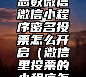 简单的来说下微信投票人工怎么刷票（微信纯人工投票）