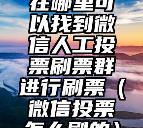 简单的来说下微信投票人工怎么刷票（微信纯人工投票）