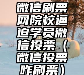 简单的来说下微信投票人工怎么刷票（微信纯人工投票）