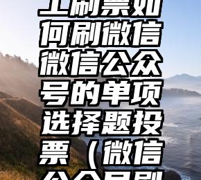 简单的来说下微信投票人工怎么刷票（微信纯人工投票）