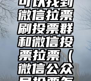 简单的来说下微信投票人工怎么刷票（微信纯人工投票）
