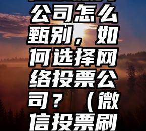 简单的来说下微信投票人工怎么刷票(微信纯人工投票)