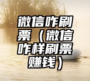 简单的来说下微信投票人工怎么刷票（微信纯人工投票）