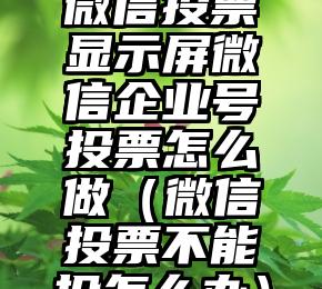 简单的来说下微信投票人工怎么刷票（微信纯人工投票）