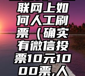 简单的来说下微信投票人工怎么刷票（微信纯人工投票）
