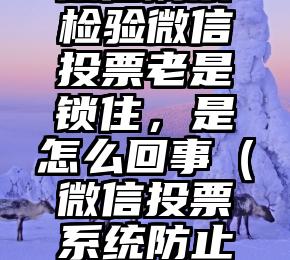 简单的来说下微信投票人工怎么刷票（微信纯人工投票）