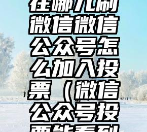 简单的来说下微信投票人工怎么刷票（微信纯人工投票）