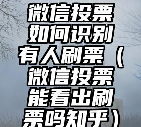 简单的来说下微信投票人工怎么刷票（微信纯人工投票）