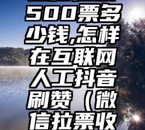 简单的来说下微信投票人工怎么刷票（微信纯人工投票）