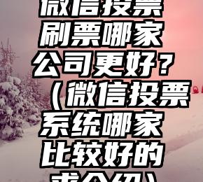 简单的来说下微信投票人工怎么刷票（微信纯人工投票）