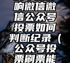 简单的来说下微信投票人工怎么刷票（微信纯人工投票）