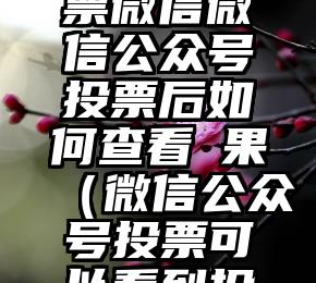 简单的来说下微信投票人工怎么刷票（微信纯人工投票）