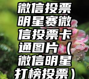 简单的来说下微信投票人工怎么刷票（微信纯人工投票）