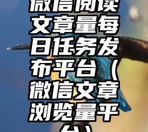 简单的来说下微信投票人工怎么刷票（微信纯人工投票）