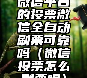 简单的来说下微信投票人工怎么刷票（微信纯人工投票）