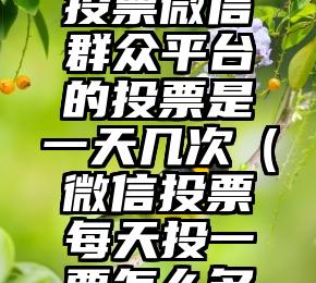 简单的来说下微信投票人工怎么刷票（微信纯人工投票）