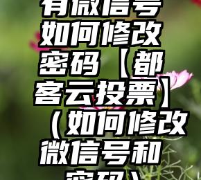 简单的来说下微信投票人工怎么刷票（微信纯人工投票）