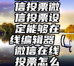 简单的来说下微信投票人工怎么刷票（微信纯人工投票）