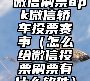 简单的来说下微信投票人工怎么刷票（微信纯人工投票）