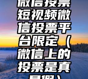 简单的来说下微信投票人工怎么刷票（微信纯人工投票）