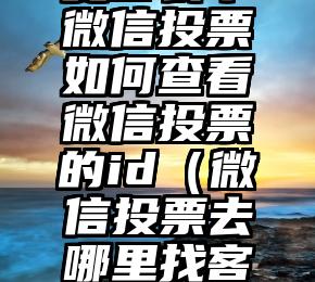 简单的来说下微信投票人工怎么刷票（微信纯人工投票）