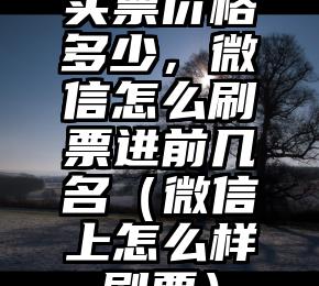 简单的来说下微信投票人工怎么刷票（微信纯人工投票）